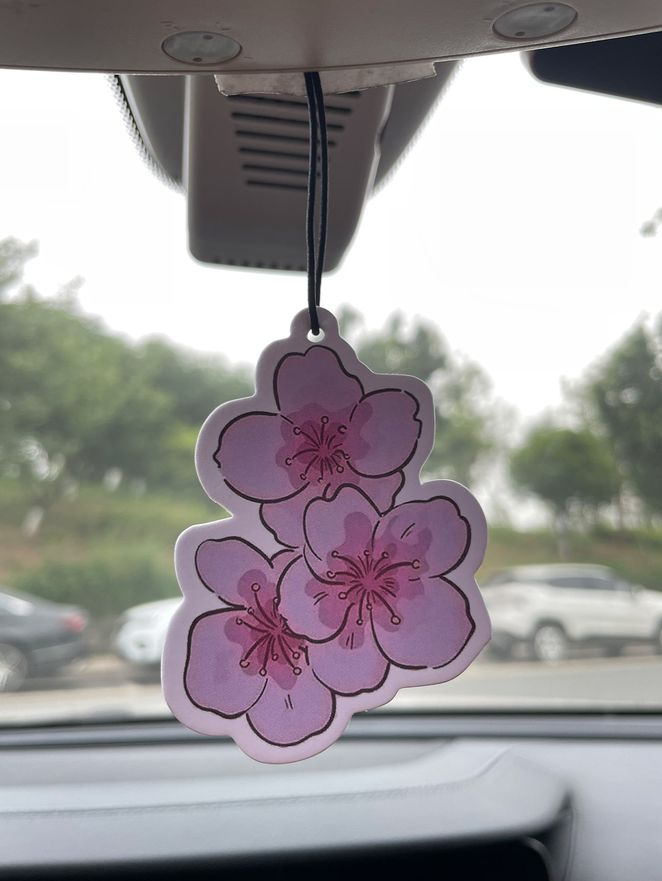 Sakura/Freesia Fresh Scent Fiv - đánh giá và giá Perfume Fragrance Types